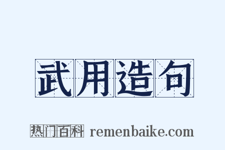 武用造句是什么意思的图片